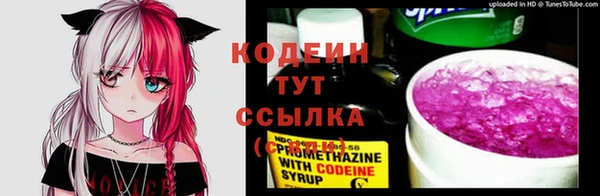ГАЛЛЮЦИНОГЕННЫЕ ГРИБЫ Балабаново