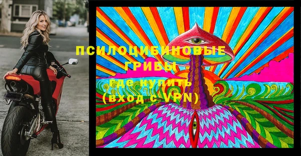 ГАЛЛЮЦИНОГЕННЫЕ ГРИБЫ Балабаново